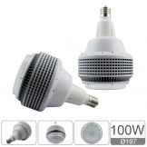 EC Series 100W bulb