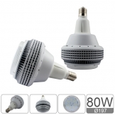 EC Series 80W bulb