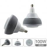 ES Series 100W bulb