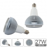 ES Series 27W bulb