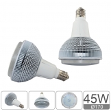 ES Series 45W bulb