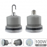 EF Series 100W bulb