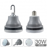 EF Series 30W bulb
